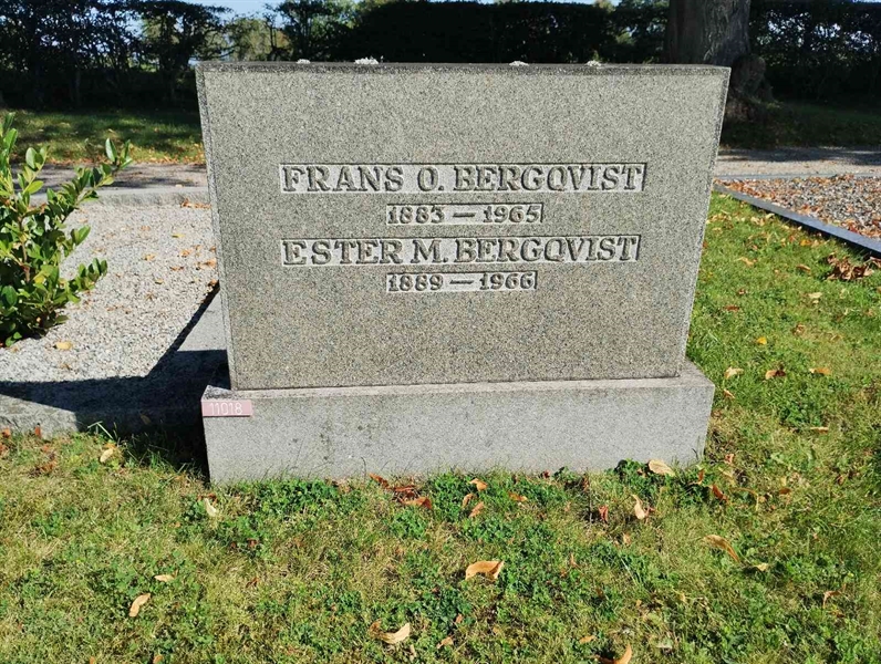 Grave number: NÅ 11    50, 51