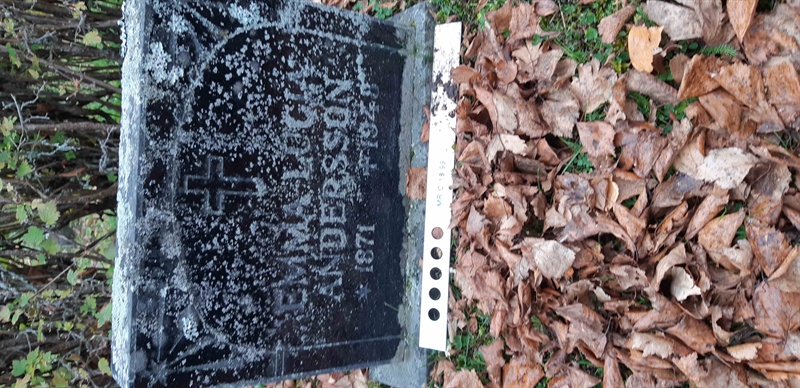 Grave number: MR C 18:99