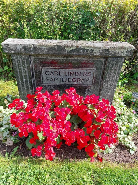 Hautatunnus: 1 D   097