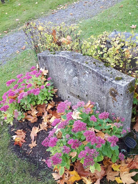 Gravnummer: GK F 1   202