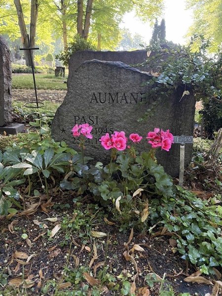Hautatunnus: 1 I   244