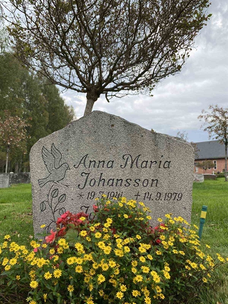 Grave number: 1 19    196, 197