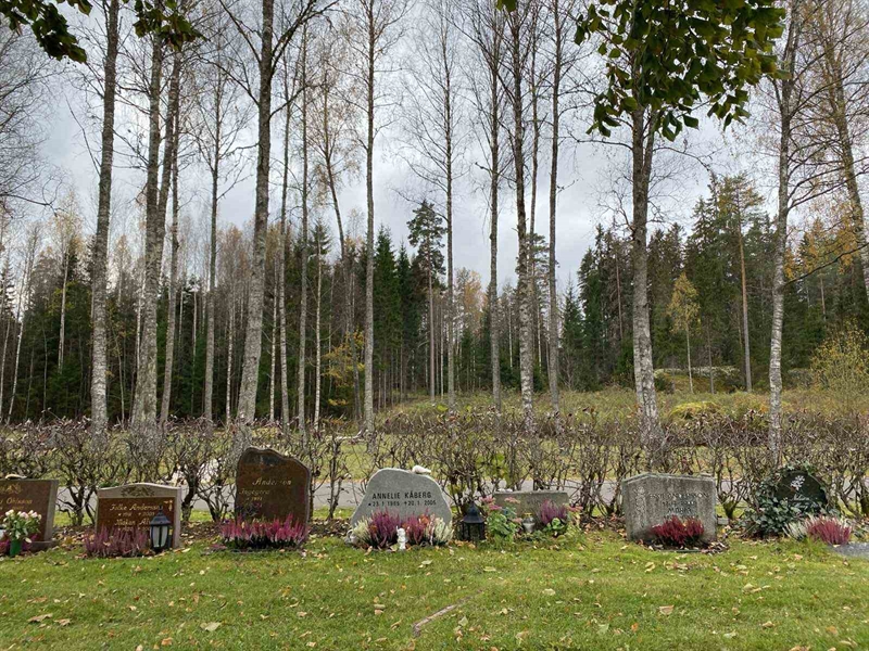 Hautatunnus: 1 29     33