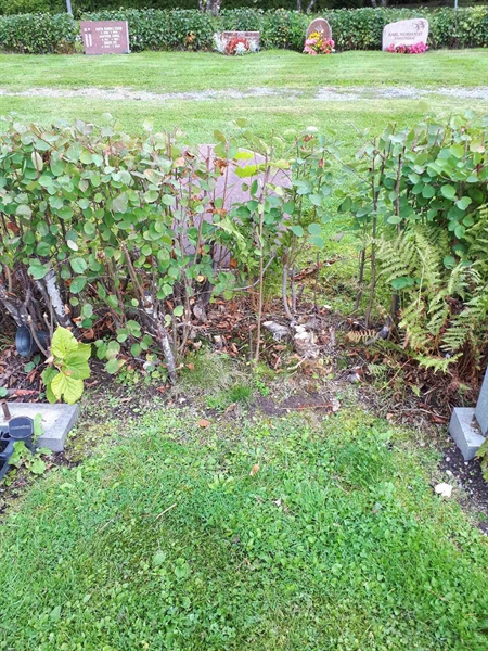 Hautatunnus: NK F B    10