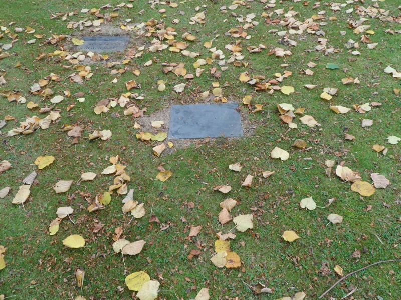 Grave number: 2 01   303