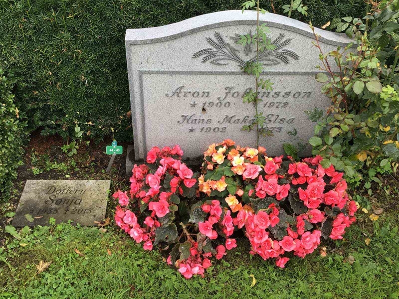 Hautatunnus: Kaga ny    43-44