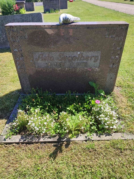 Grave number: TY NKV   195