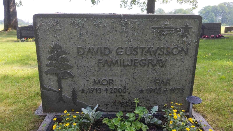 Grave number: 2 C 6    31-32