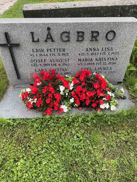 Gravnummer: N 4 4   563