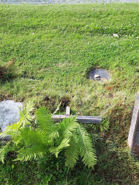 Hautatunnus: GK A 5   312M