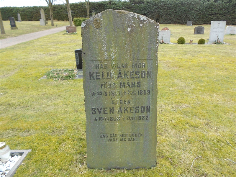 Grave number: V 5    94