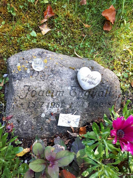 Gravnummer: GK U 4   543