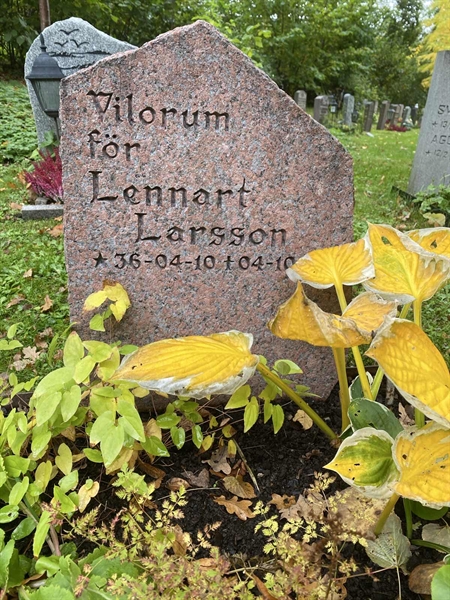 Gravnummer: 1 H    35