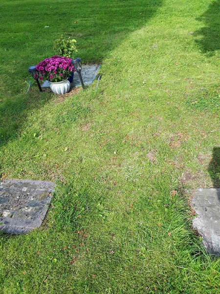 Gravnummer: NK A A   214