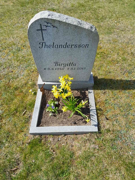 Grave number: 20 N 80-81