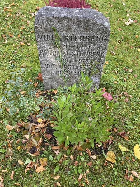 Hautatunnus: 1 H   232