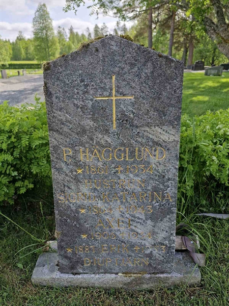 Hautatunnus: TK G A 80
