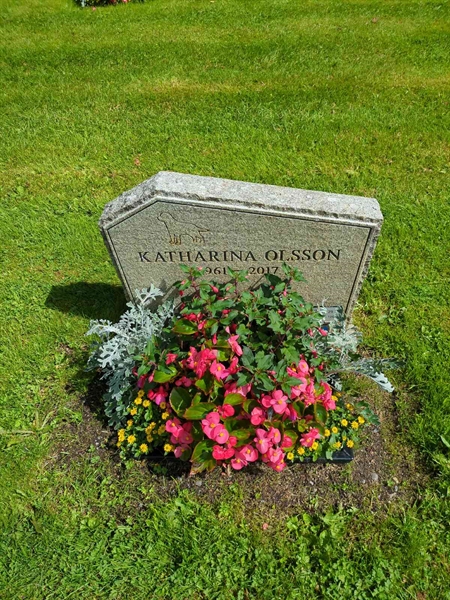 Grave number: 1 29   125-126