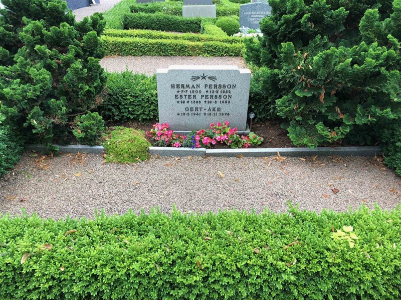 Grave number: HK 03    71, 72, 73