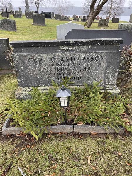 Hautatunnus: Vårv Kv3   227+228