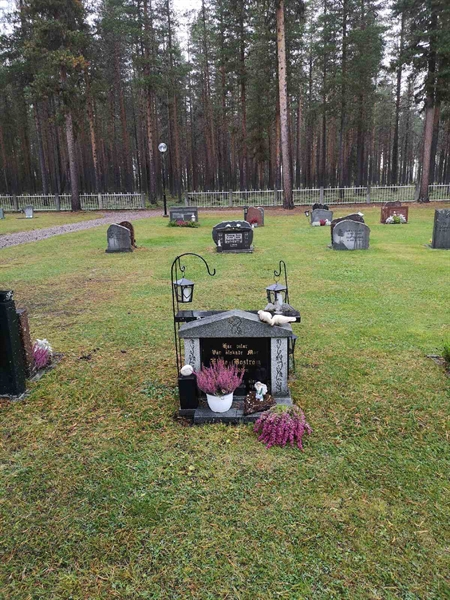 Hautatunnus: VLM 13    52