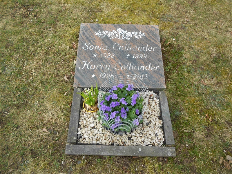 Grave number: V 10   228