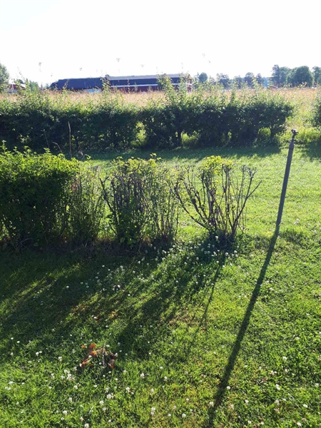 Gravnummer: GK F 5   461