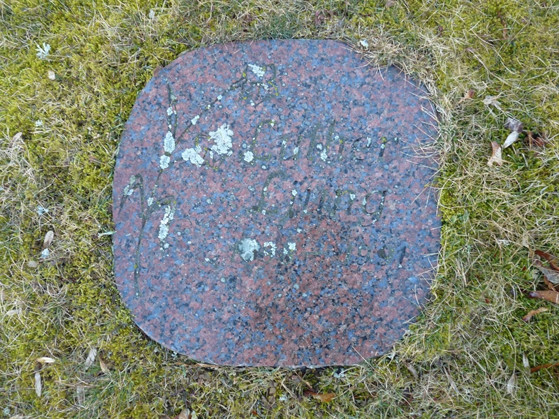 Grave number: JÄ 1  118