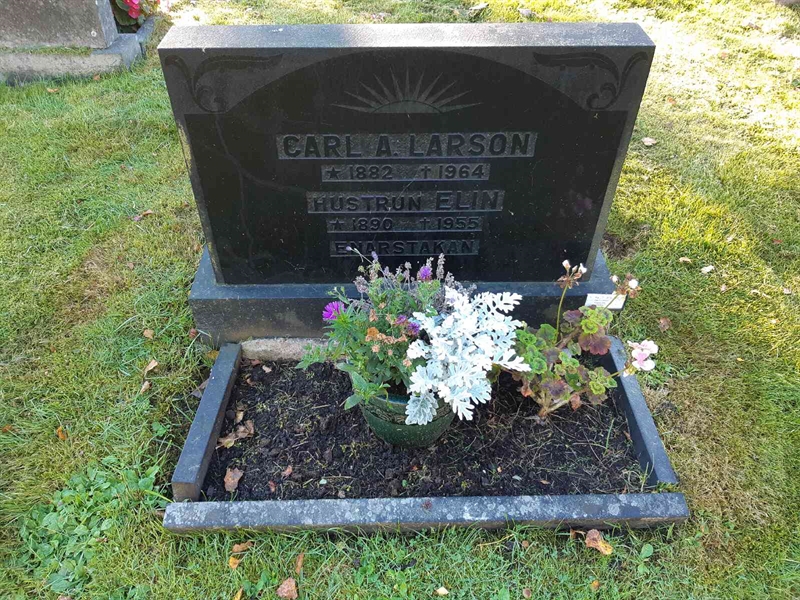 Hautatunnus: Fr 7   311-312