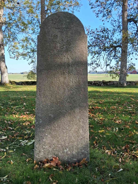 Grave number: SRG 2   229