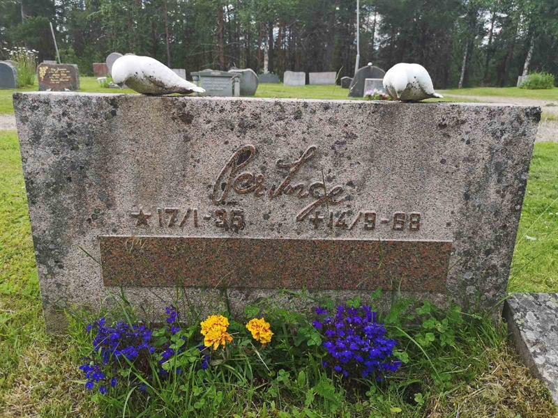 Gravnummer: PK   262