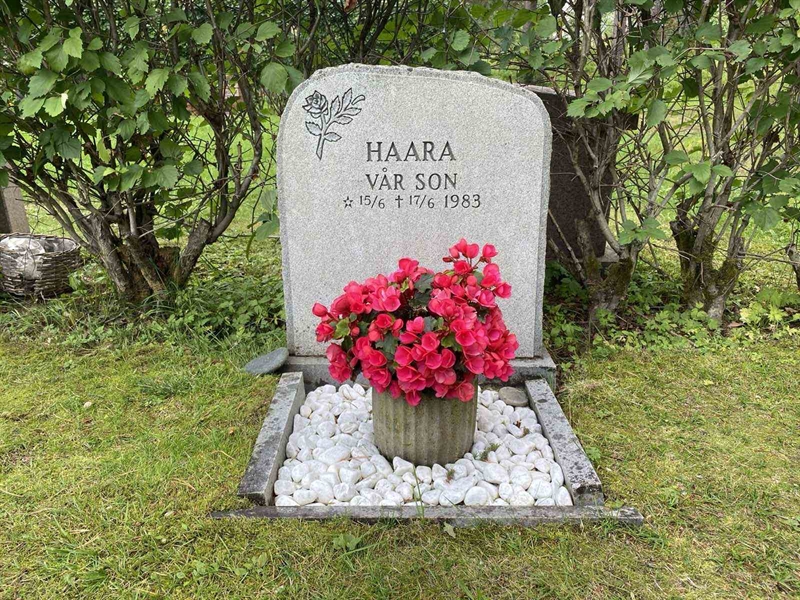 Gravnummer: 3 13   345