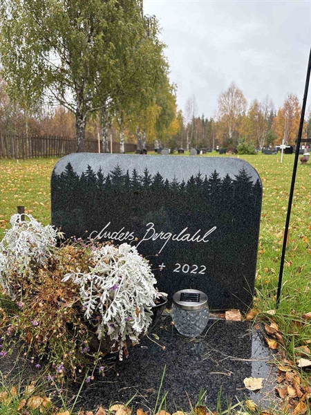 Hautatunnus: NK 21   111