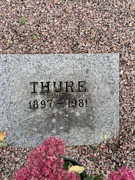 Grave number: EK G 1     7