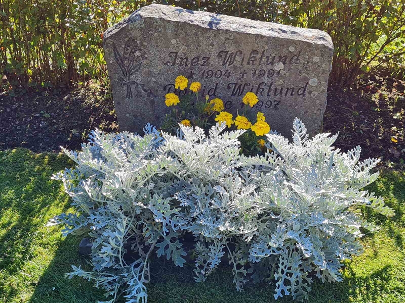Grave number: Ö III  142