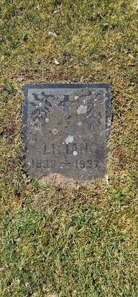 Grave number: F V C    56