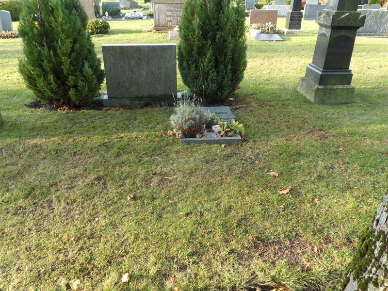 Grave number: 2 01   803