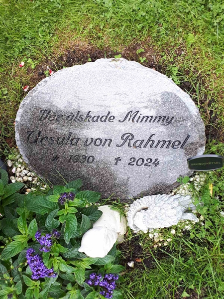 Hautatunnus: NK F D   526