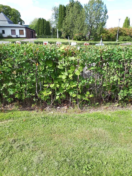 Grave number: NK F A   142