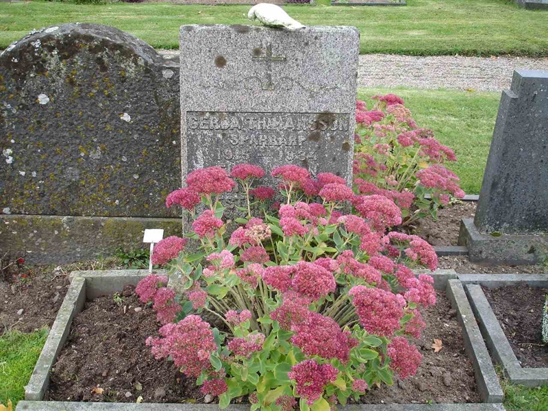 Grave number: FN D     8