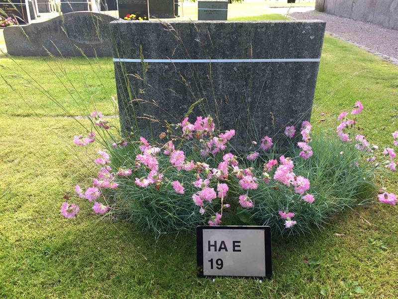 Grave number: HA E    19