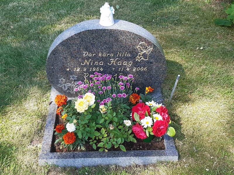 Grave number: VI 02   667