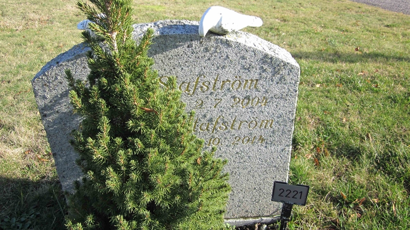 Grave number: KG F  2220, 2221