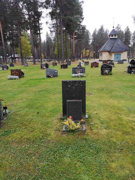 Hautatunnus: VLM 13    82