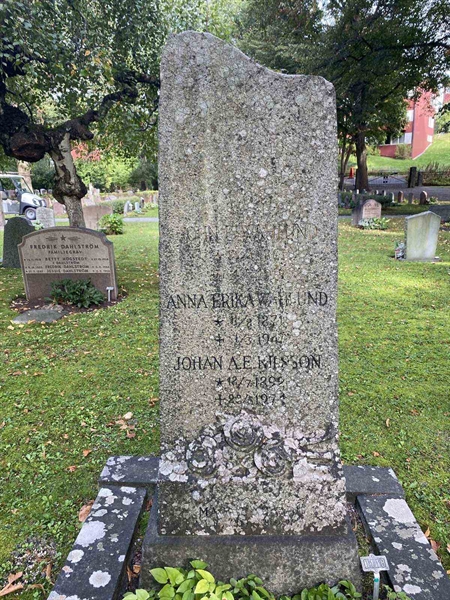 Hautatunnus: 1 D   118