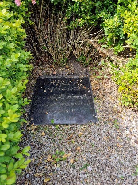 Grave number: 2 Q    19