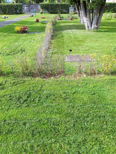 Grave number: NK F G    81