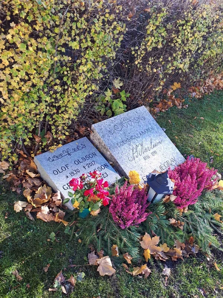 Grave number: GK F 1   295