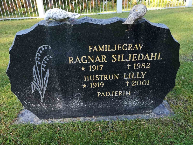 Hautatunnus: VLM 11    65:1-2