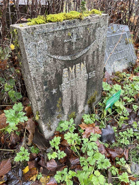 Gravnummer: GK A 3   450